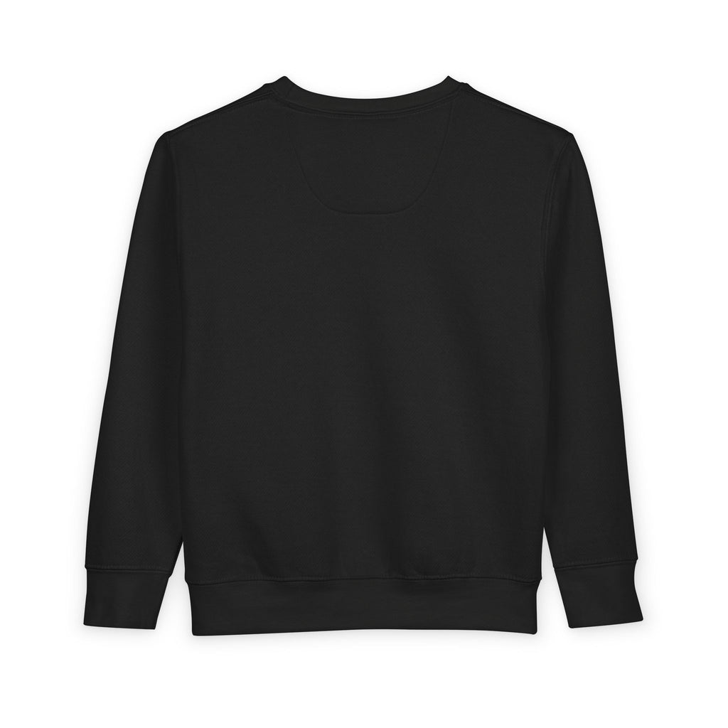 Toddler Sweatshirt - "Little King Big Dreams"