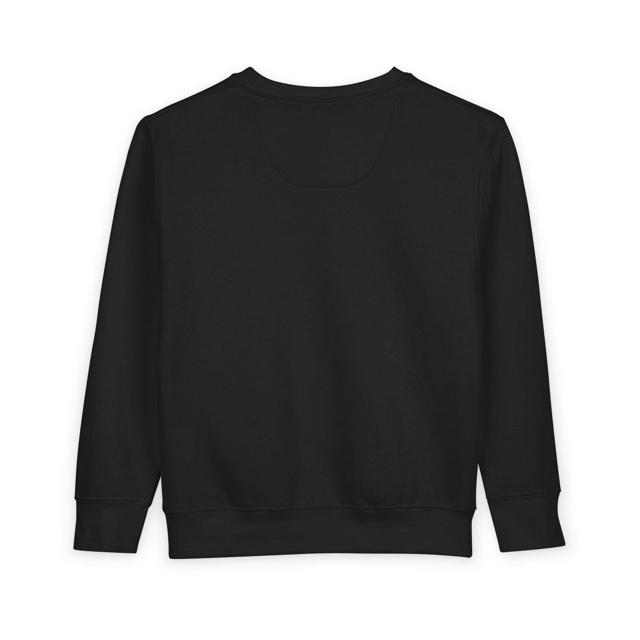 Toddler Sweatshirt - "Little King Big Dreams"